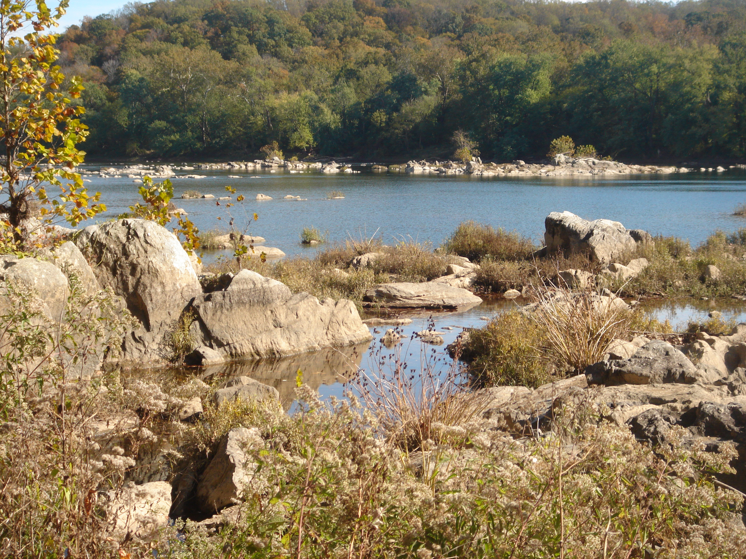 Rocks in River