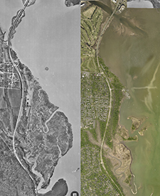 dyke_marsh_past_and_present-225.jpg