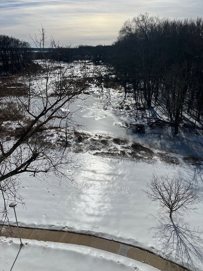 snow_west_marsh_3-700.jpg