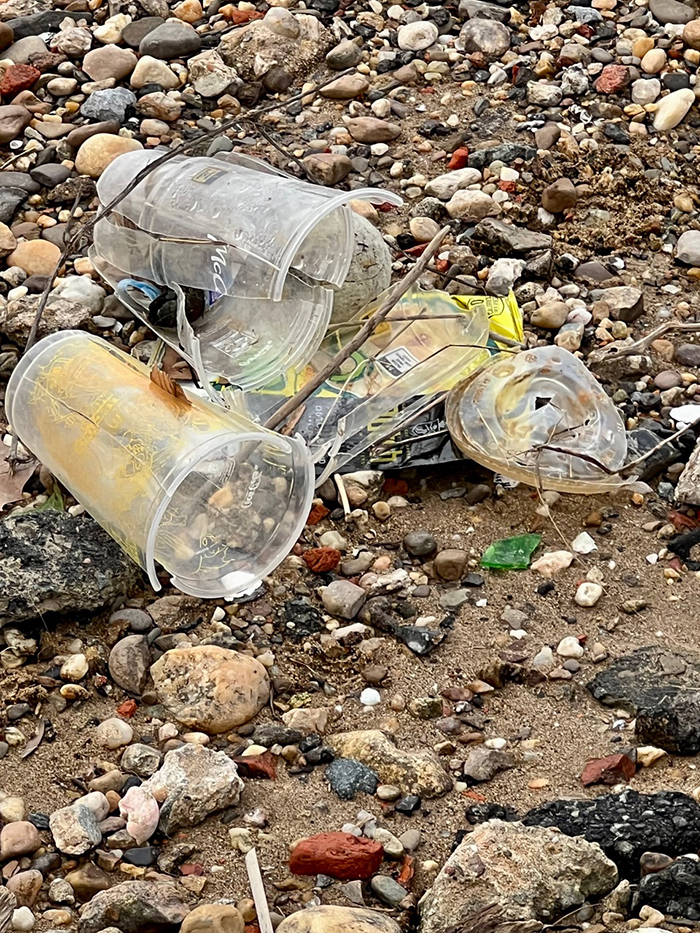 typical_plastic_debris-cassie_arnold-700.jpg